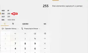 Jak zamienić liczbę na system binarny? Proste metody krok po kroku
