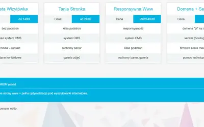 Ile kosztuje projekt strony internetowej? Sprawdź, co wpływa na ceny