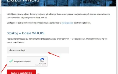 Kto jest właścicielem strony internetowej? Odkryj prawdę i uniknij oszustw