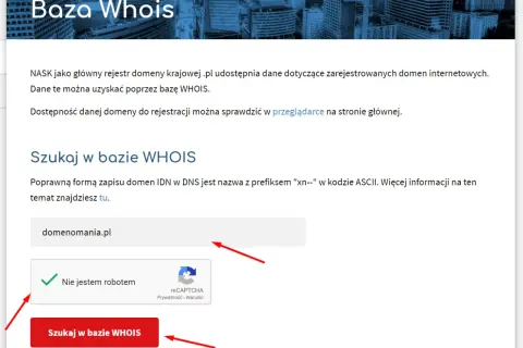 Kto jest właścicielem strony internetowej? Odkryj prawdę i uniknij oszustw