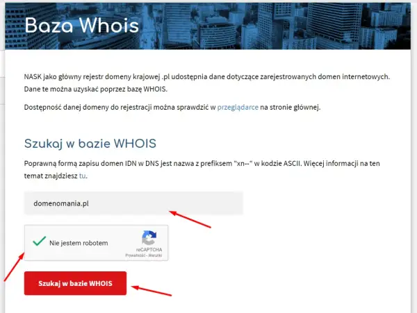 Kto jest właścicielem strony internetowej? Odkryj prawdę i uniknij oszustw